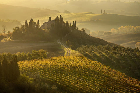 Les différents types de vins Italiens